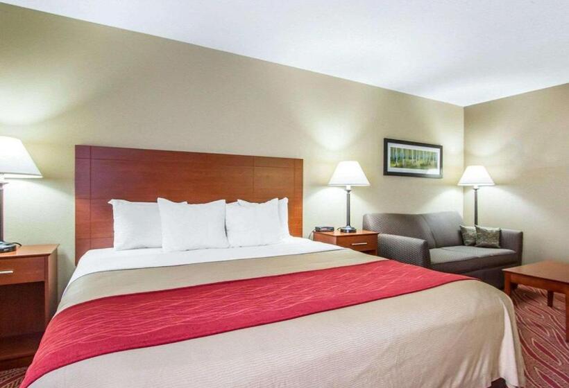 Стандартный Номер Кровать Кинг, Comfort Inn Poplar Bluff North