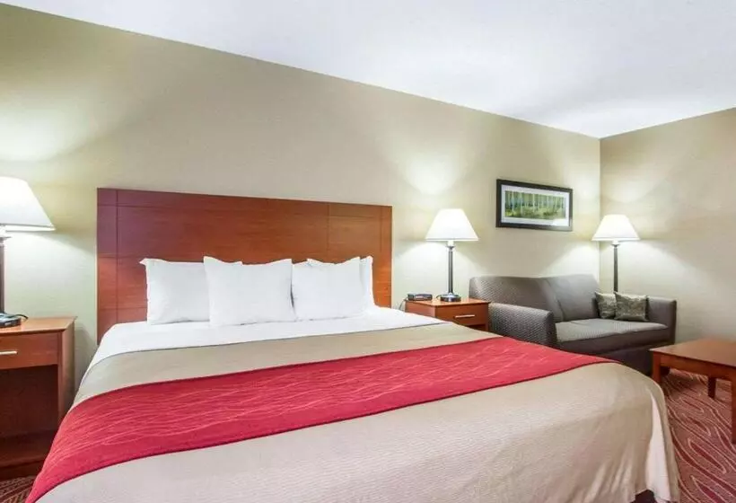 キングサイズベッドのスタンダードルーム, Comfort Inn Poplar Bluff North