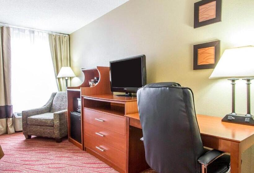 غرفة قياسية, Comfort Inn Poplar Bluff North