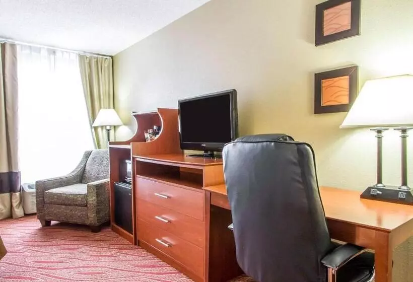 スタンダードルーム, Comfort Inn Poplar Bluff North
