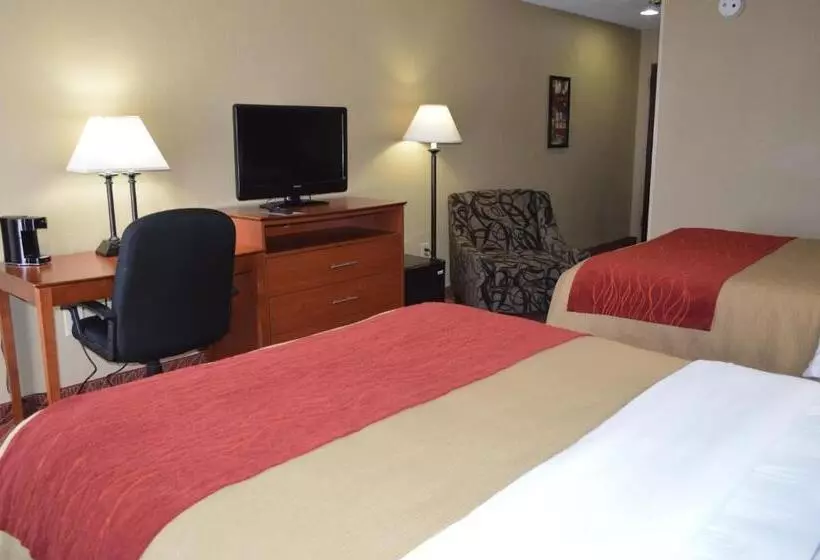 スタンダードルーム, Comfort Inn Poplar Bluff North
