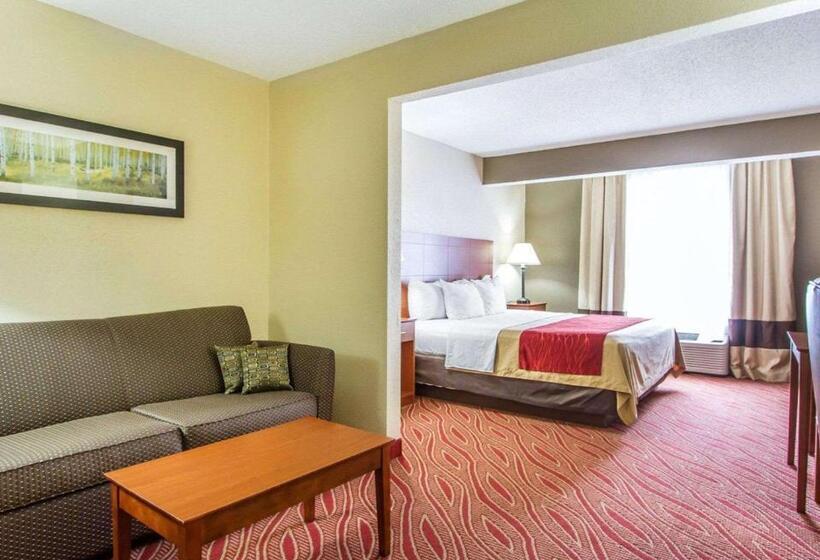 Люкс Кровать Кинг, Comfort Inn Poplar Bluff North