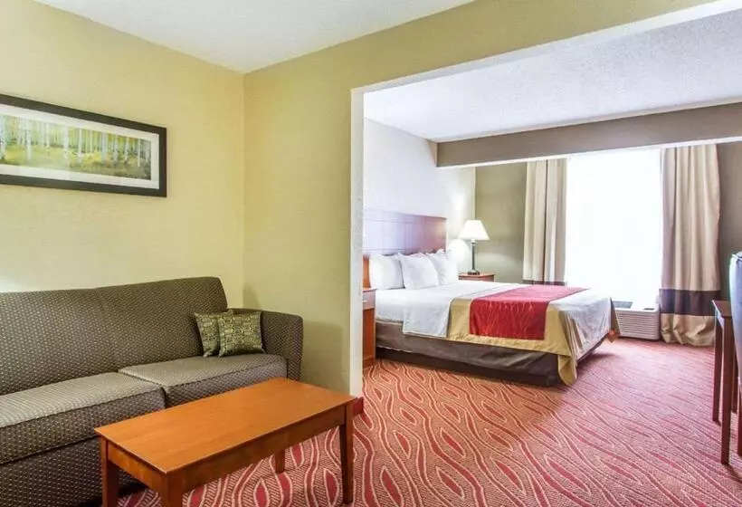 キングサイズベッドのスイートルーム, Comfort Inn Poplar Bluff North