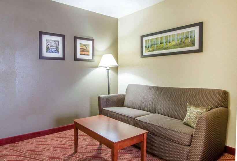 جناح سرير كينج, Comfort Inn Poplar Bluff North