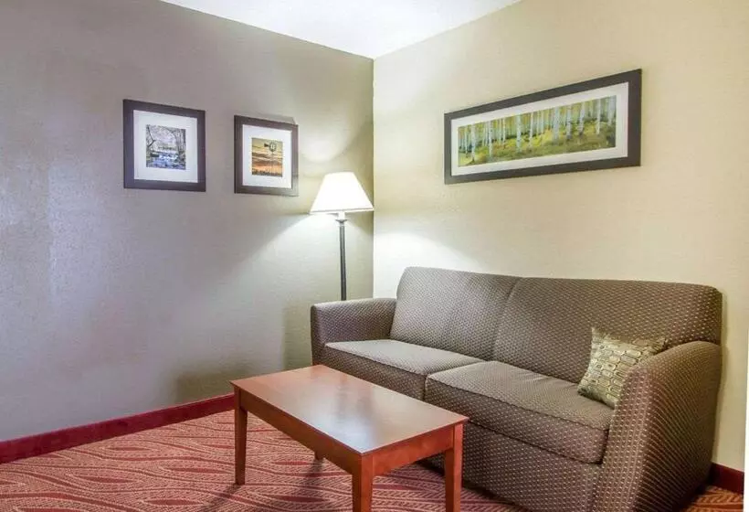 キングサイズベッドのスイートルーム, Comfort Inn Poplar Bluff North