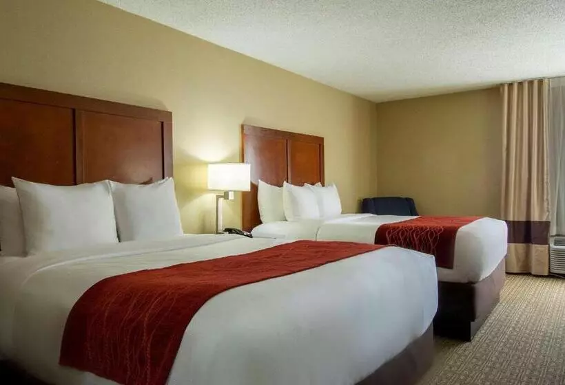 اتاق استاندارد, Comfort Inn