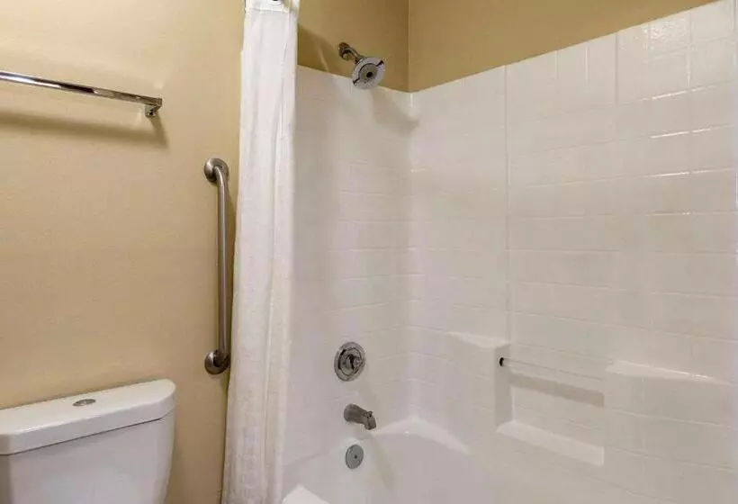 اتاق استاندارد با تخت بزرگ, Comfort Inn
