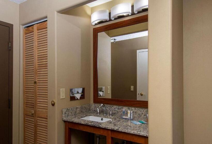 带大床的标准间, Comfort Inn