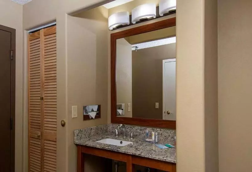 اتاق استاندارد با تخت بزرگ, Comfort Inn