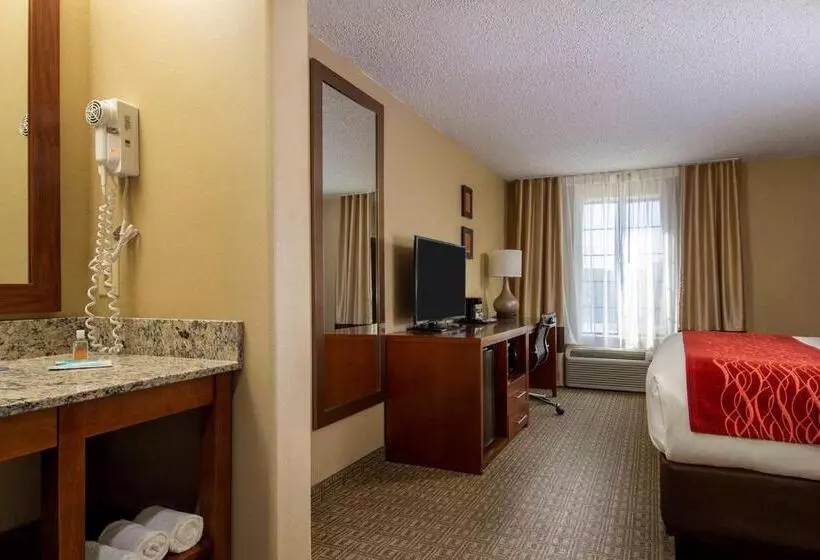 اتاق استاندارد با تخت بزرگ, Comfort Inn