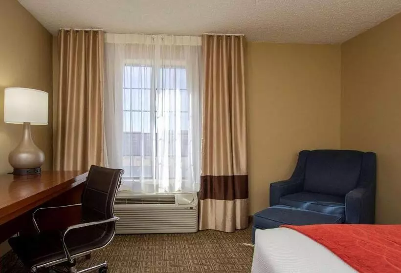 اتاق استاندارد با تخت بزرگ, Comfort Inn