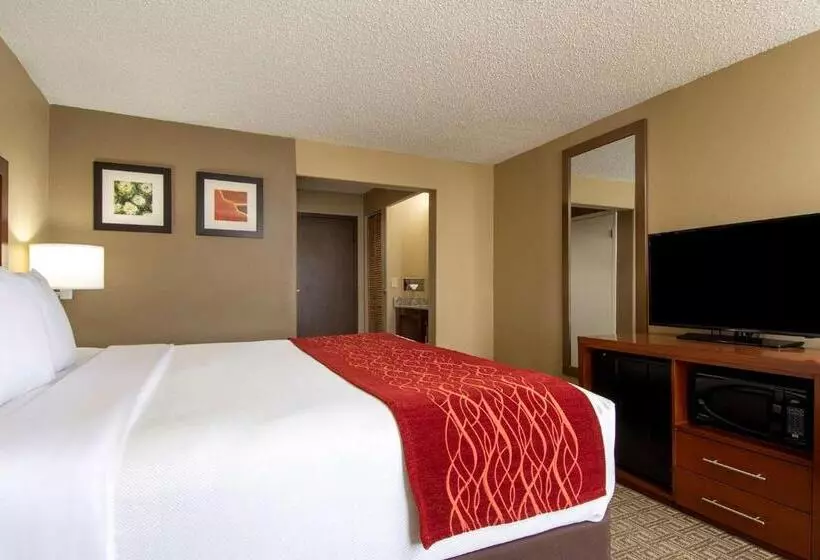 اتاق استاندارد با تخت بزرگ, Comfort Inn
