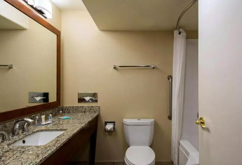 سوئیت با تخت بزرگ, Comfort Inn