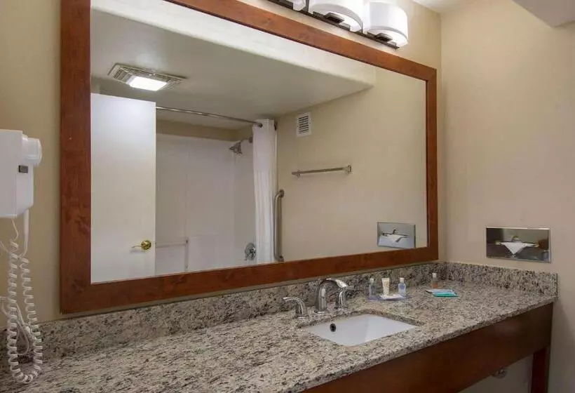 سوئیت با تخت بزرگ, Comfort Inn