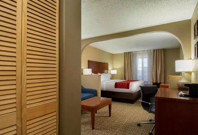 سوئیت با تخت بزرگ, Comfort Inn