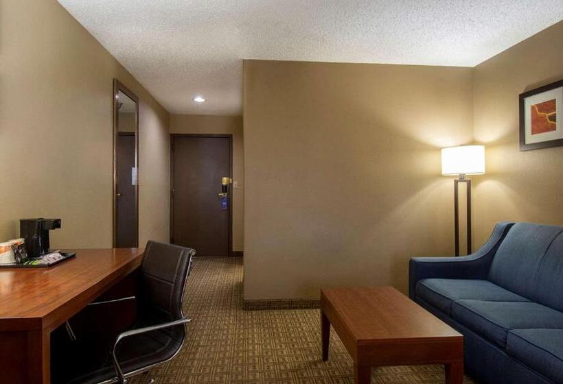 Люкс Кровать Кинг, Comfort Inn