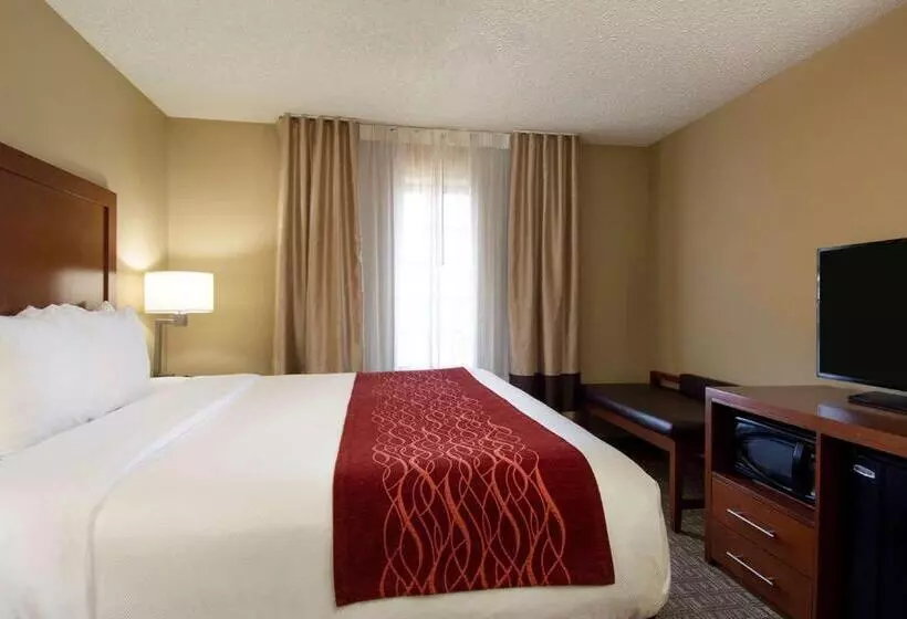 سوئیت با تخت بزرگ, Comfort Inn