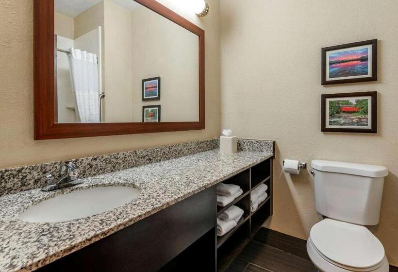 חדר סטנדרט עם מיטת קינג, Comfort Inn Shelbyville North