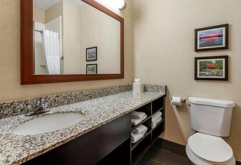 キングサイズベッドのスタンダードルーム, Comfort Inn Shelbyville North