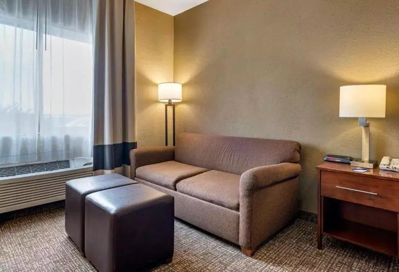 キングサイズベッドのスタンダードルーム, Comfort Inn Shelbyville North