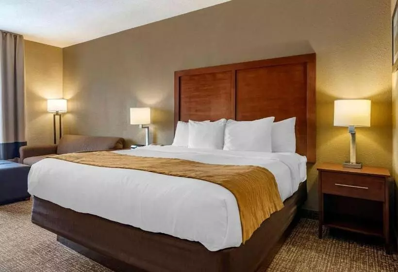 キングサイズベッドのスタンダードルーム, Comfort Inn Shelbyville North