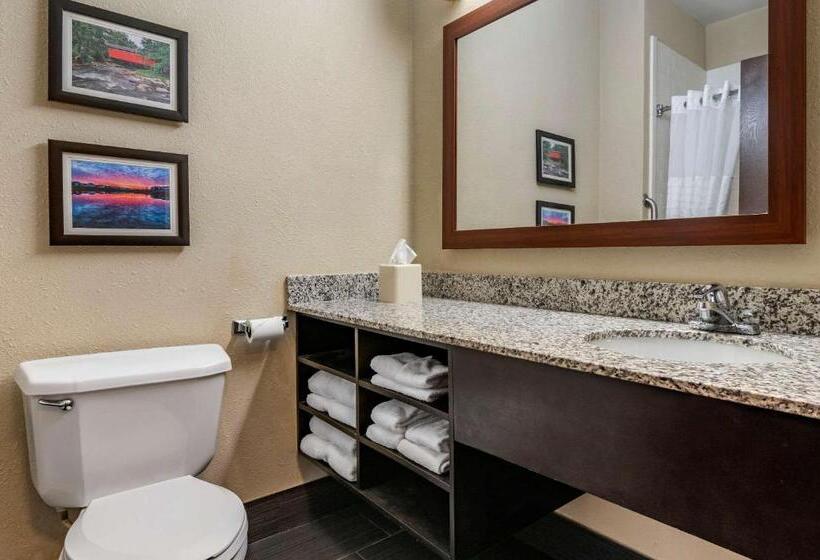 חדר סטנדרט, Comfort Inn Shelbyville North
