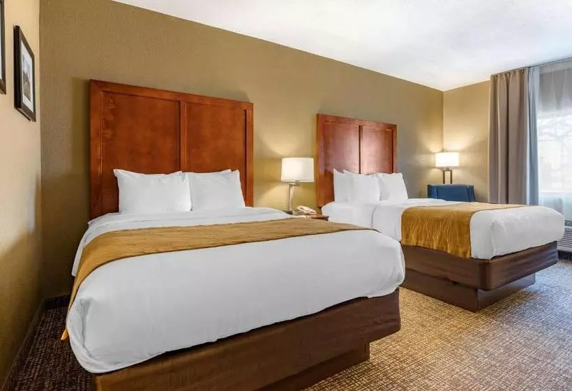スタンダードルーム, Comfort Inn Shelbyville North