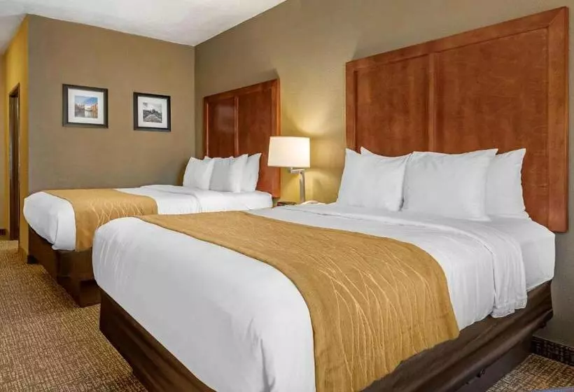 スタンダードルーム, Comfort Inn Shelbyville North