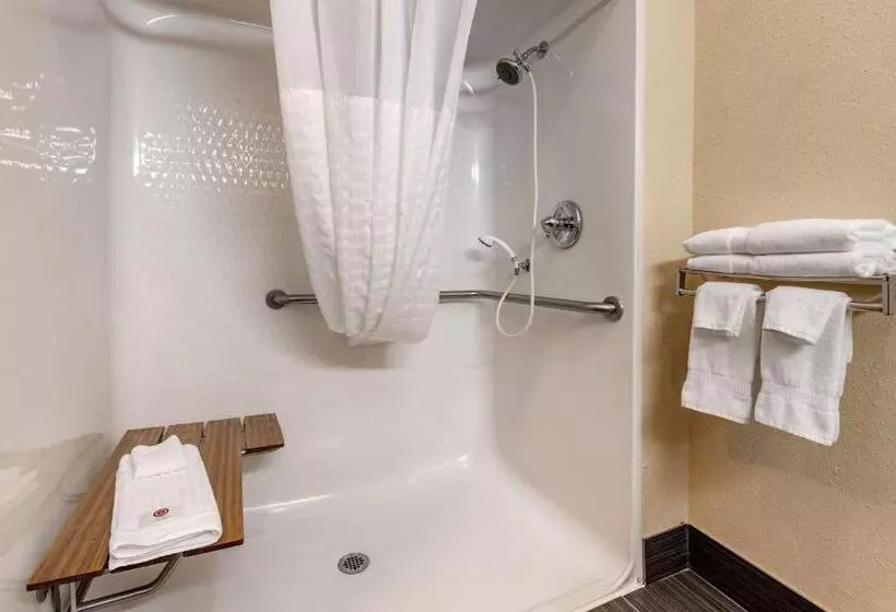 身障者適用キングサイズベッドルーム, Comfort Inn Shelbyville North