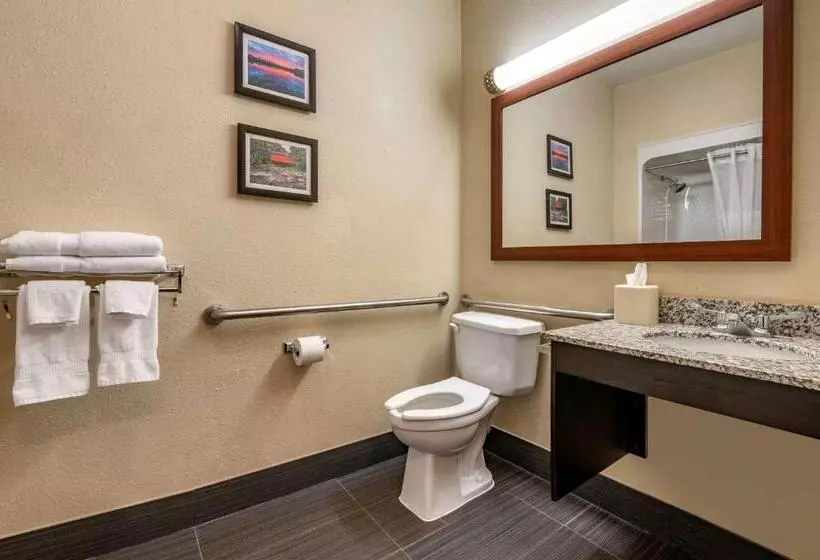 身障者適用キングサイズベッドルーム, Comfort Inn Shelbyville North