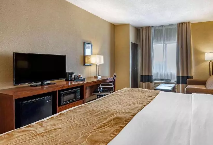 身障者適用キングサイズベッドルーム, Comfort Inn Shelbyville North