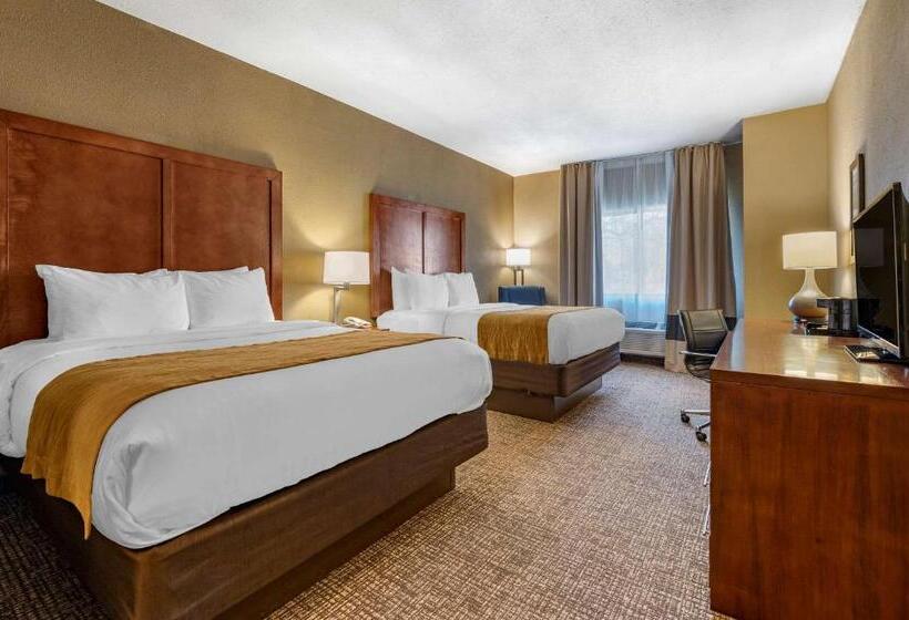 חדר סטנדרט מותאם לאדם עם מוגבלויות, Comfort Inn Shelbyville North