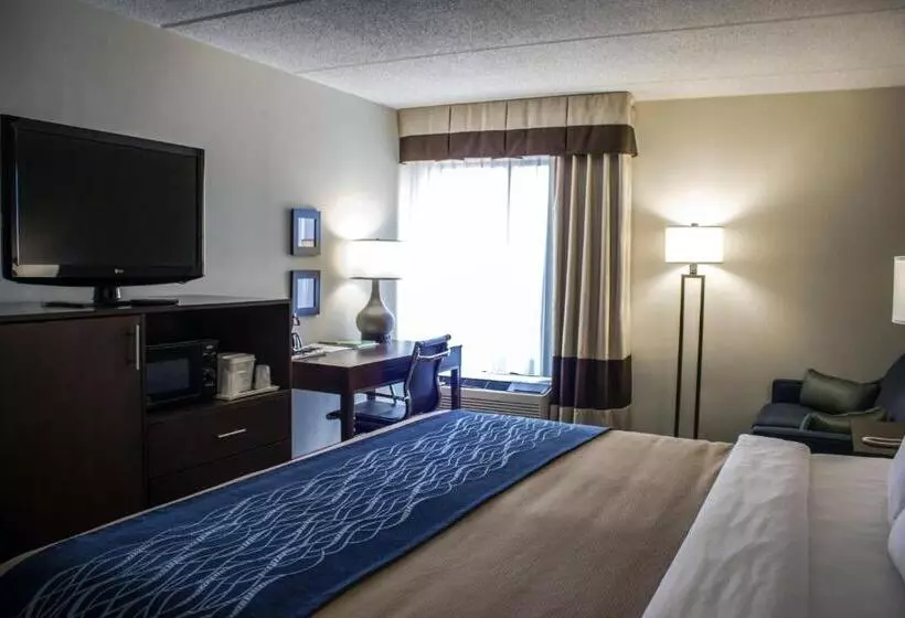 キングサイズベッドのスタンダードルーム, Comfort Inn & Suites Fuquay Varina