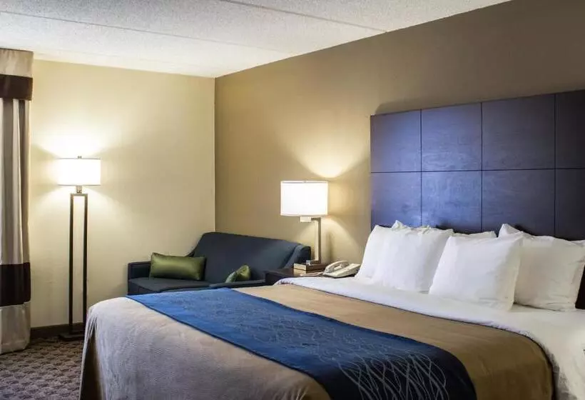 キングサイズベッドのスタンダードルーム, Comfort Inn & Suites Fuquay Varina