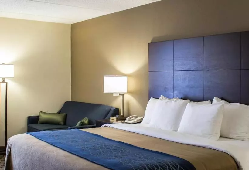 キングサイズベッドのスタンダードルーム, Comfort Inn & Suites Fuquay Varina
