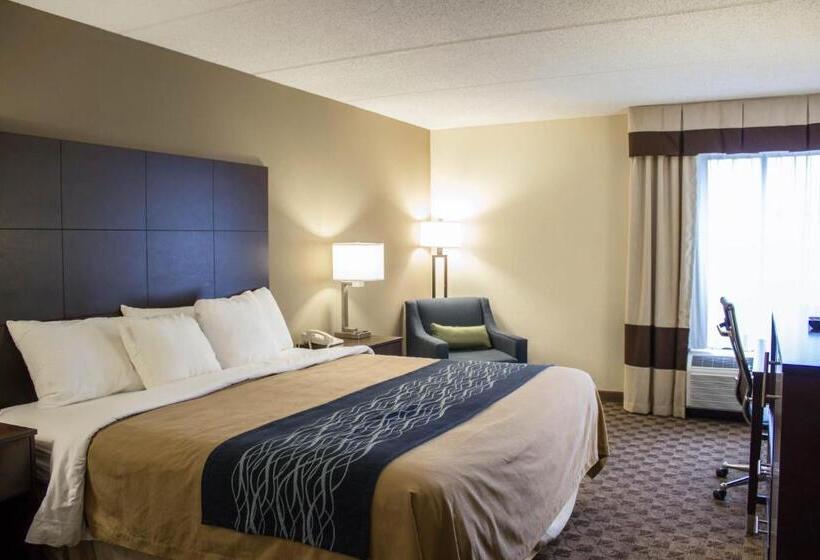Стандартный Номер Кровать Кинг, Comfort Inn & Suites Fuquay Varina