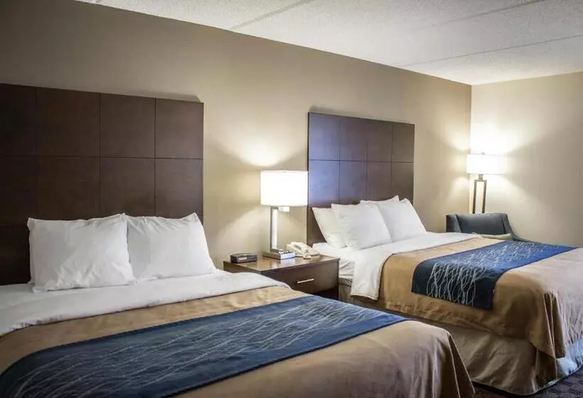 スタンダードルーム, Comfort Inn & Suites Fuquay Varina