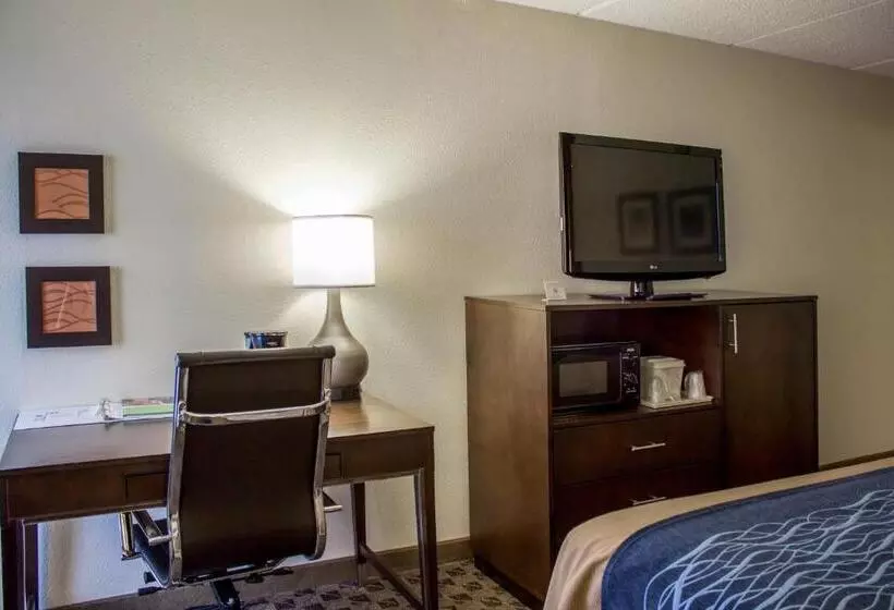 スタンダードルーム, Comfort Inn & Suites Fuquay Varina