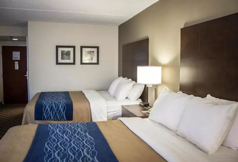 スタンダードルーム, Comfort Inn & Suites Fuquay Varina
