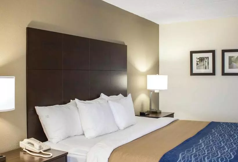 キングサイズベッドのスイートルーム, Comfort Inn & Suites Fuquay Varina