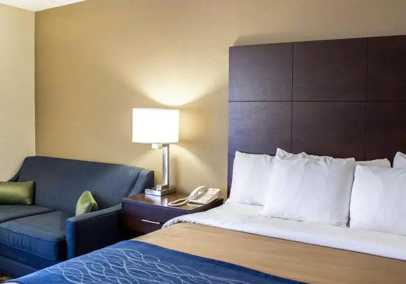 キングサイズベッドのスイートルーム, Comfort Inn & Suites Fuquay Varina