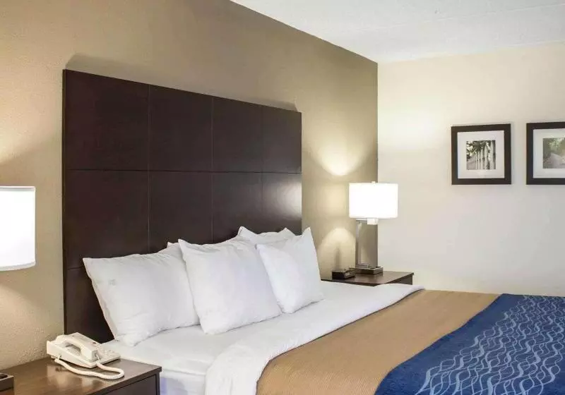 キングサイズベッドのスイートルーム, Comfort Inn & Suites Fuquay Varina