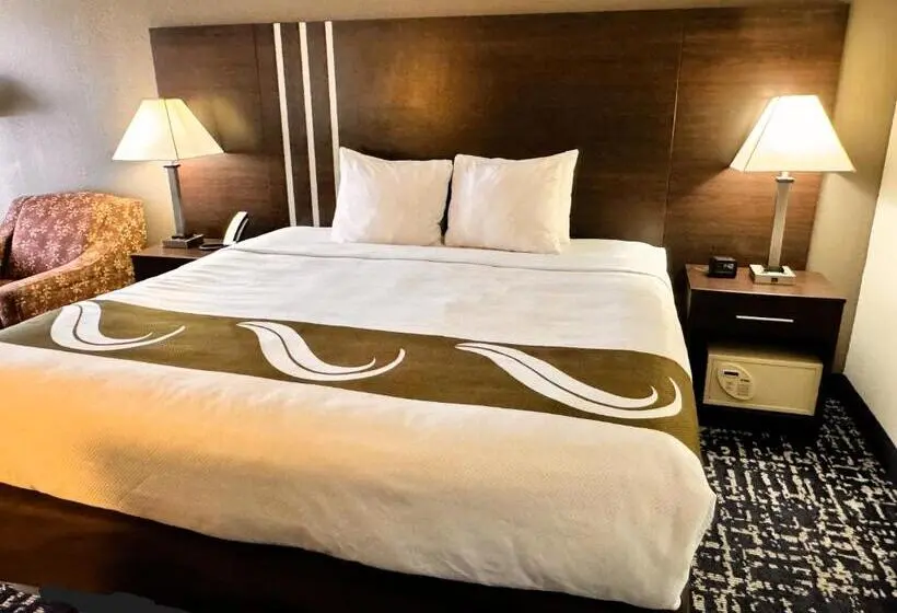 キングサイズベッドのスタンダードルーム, Quality Inn Cleveland North