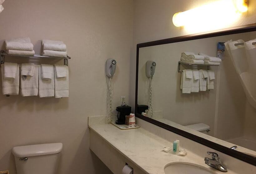 스탠다드 룸 더블 침대 2개, Quality Inn I94 Near Wings Stadium