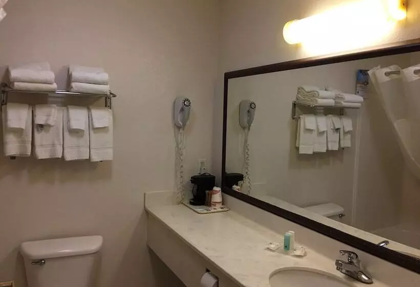 اتاق استاندارد با 2 تخت دوبل, Quality Inn I94 Near Wings Stadium