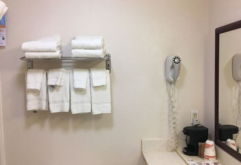 스탠다드 룸 더블 침대 2개, Quality Inn I94 Near Wings Stadium