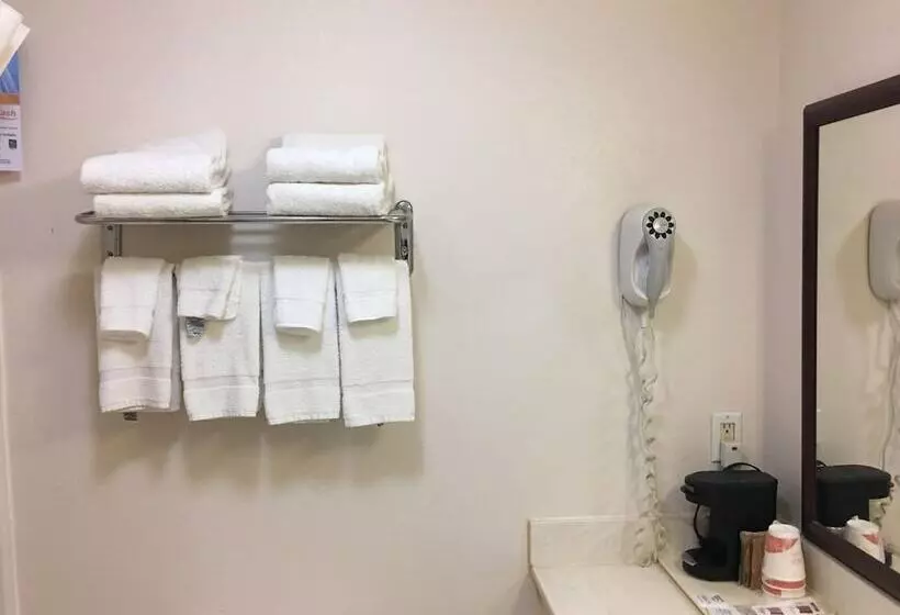 اتاق استاندارد با 2 تخت دوبل, Quality Inn I94 Near Wings Stadium