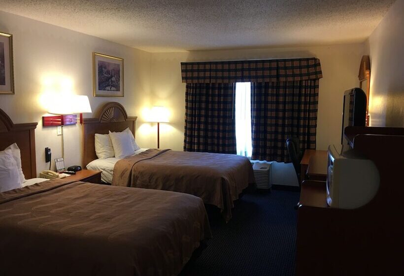 Номер Стандарт 2 Двуспальные Кровати, Quality Inn I94 Near Wings Stadium