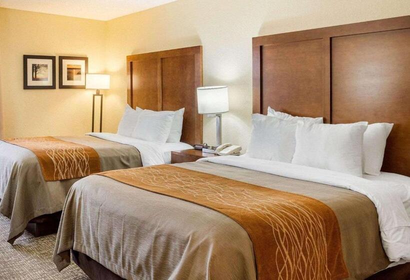 スタンダードルーム, Quality Inn Olive Branch