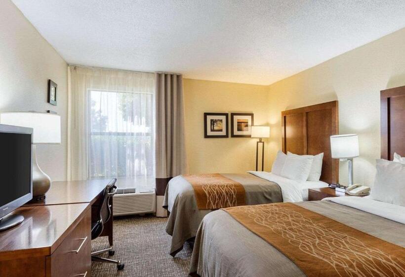 Номер Стандарт, Quality Inn Olive Branch